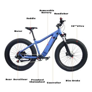 Aluminium Alloy Lithium Battery Electric Bike